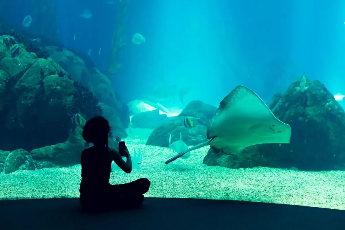 Valencia Oceanarium