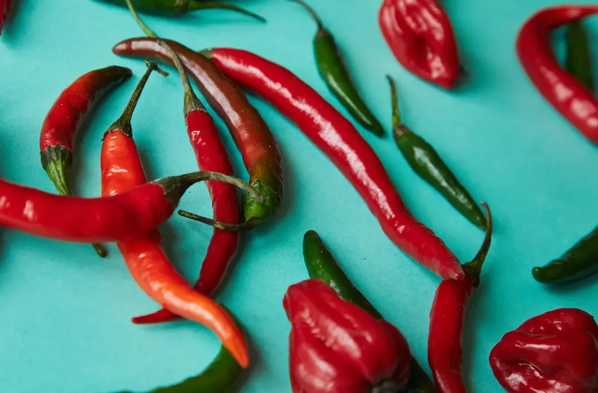 Ostra papryczka chili właściwości, uprawa, przepisy