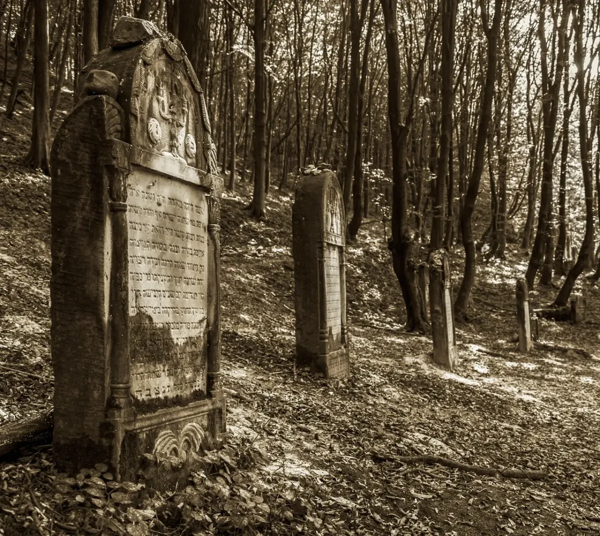Niezwykły Kazimierz Dolny Wąwóz Śmierci i jego historia