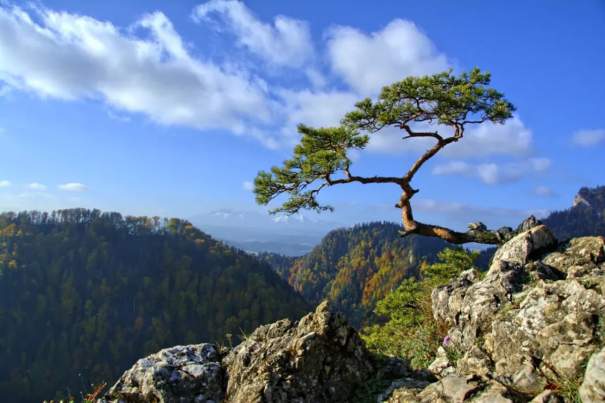 Wspaniałe góry – Pieniny szlaki turystyczne